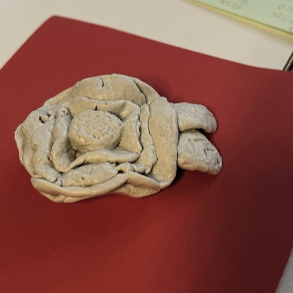 A white clay rose or rose-like flower with two leaves on a square of red paper