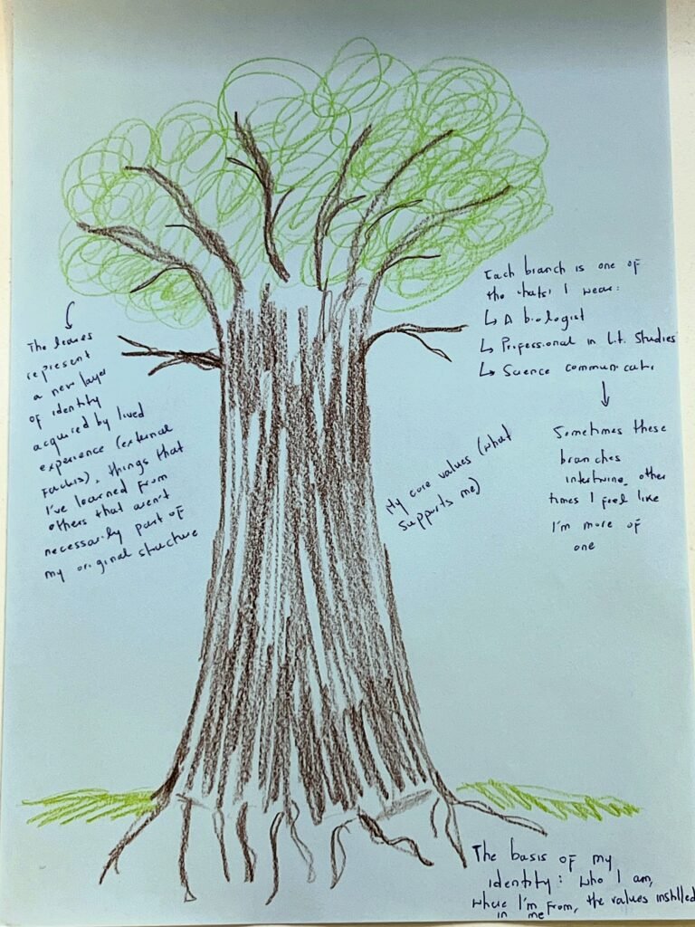 a pencil-drawing of a tree with writing describing positionality related to a tree metaphor