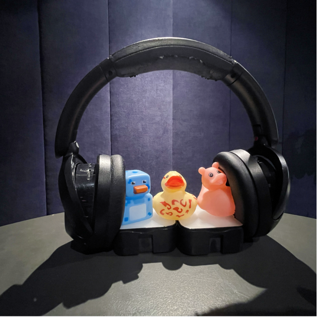 Ducks in recording studio 2