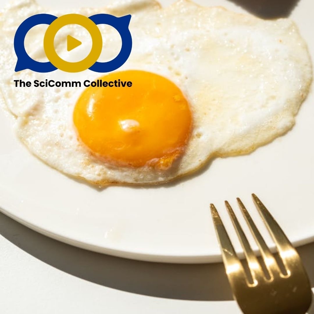 Episode 2.5: When Art Meets Science – with Dr Phil Dooley