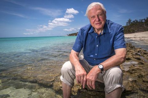 Letters to Sir David Attenborough
