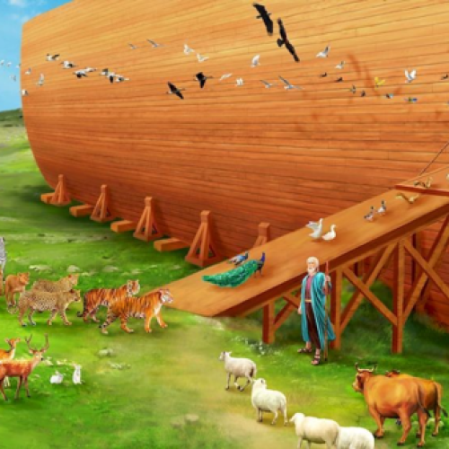 The New Noah’s Ark: Contextual Biases in Conservation